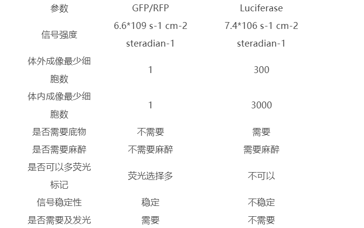 熒光蛋白和熒光素酶活體成像區(qū)別