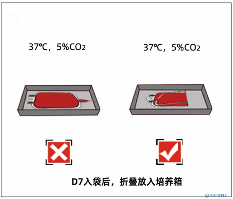nk細胞培養(yǎng)期間需注意