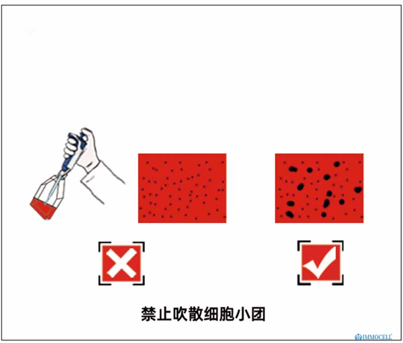 nk細胞避免細胞機械損傷