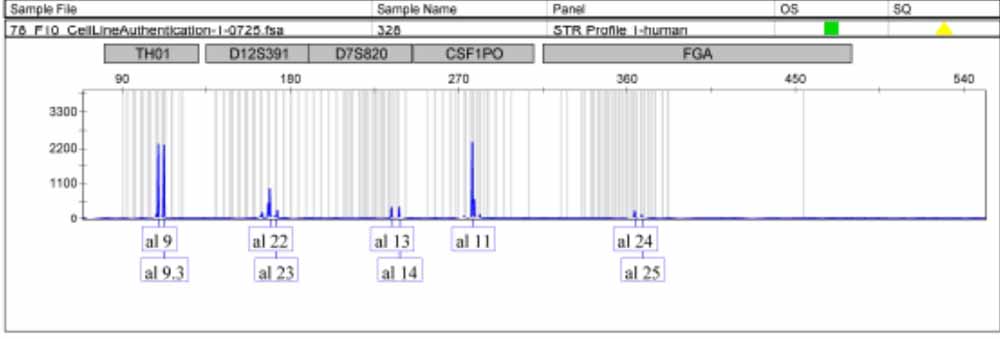 SK-OV-3-LUC-BSD.jpg