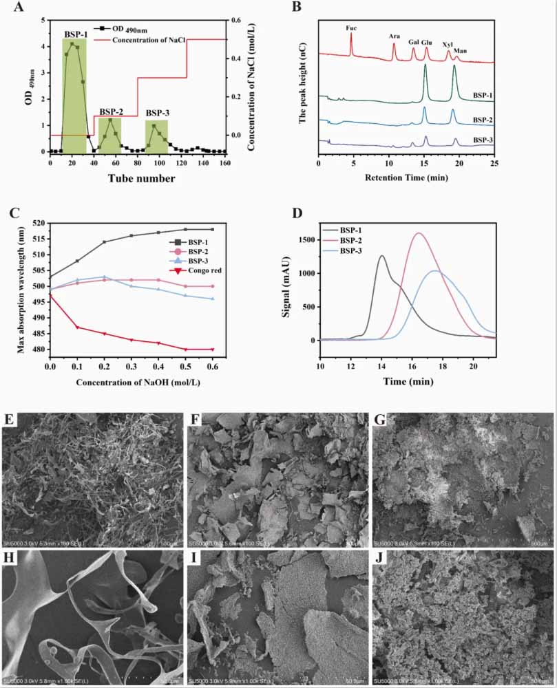 圖1討論Congo red與BSPs在不同NaOH濃度下的最大吸收波長(zhǎng)(λmax);BSPs的分子質(zhì)量分布;以及BSP-1的FESEM圖像。