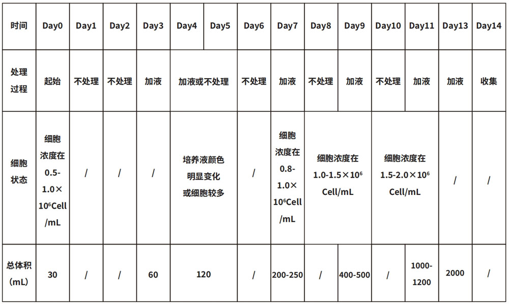 γδT細胞培養(yǎng)天數(shù)細胞表格