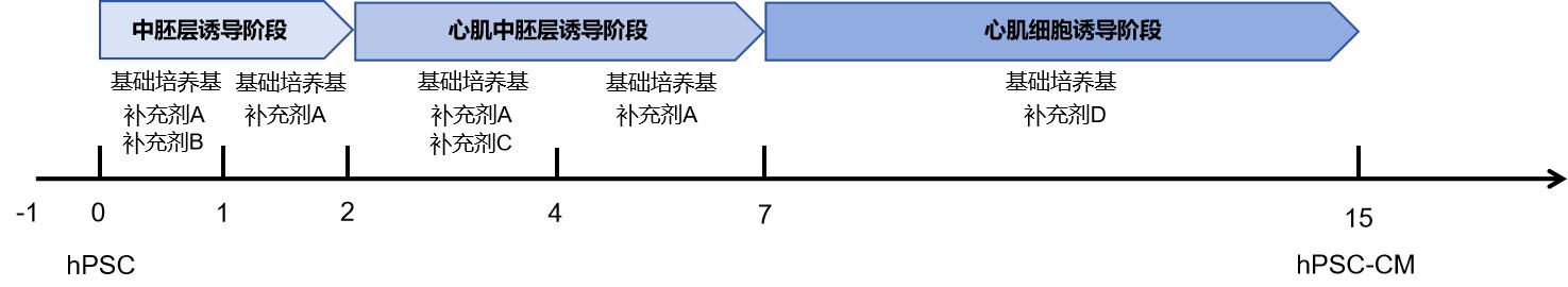 1725270545169954.jpg