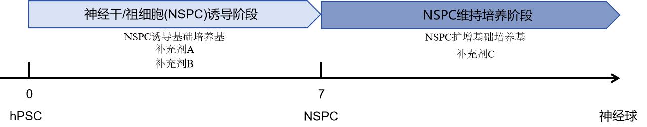1725525115166601.jpg