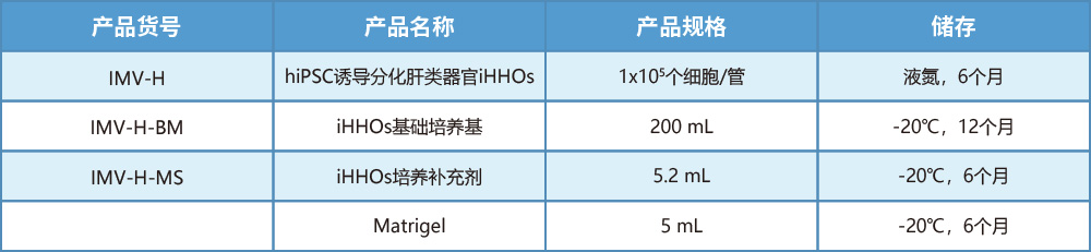hiPSC誘導(dǎo)分化肝類器官iHHOs