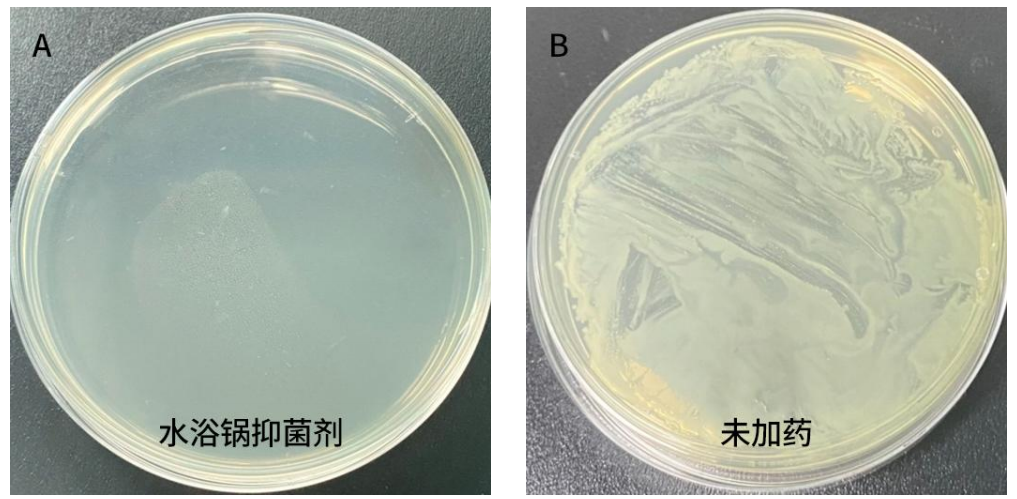 水浴鍋抑菌劑產(chǎn)品效果圖