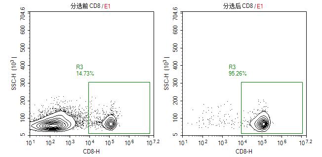 小鼠脾臟CD8+T細(xì)胞流式鑒定圖