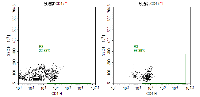 小鼠脾臟CD4+T細胞標志物鑒定圖