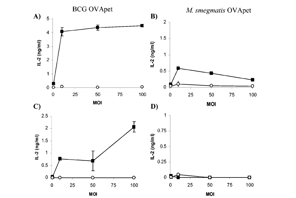 圖5. 熱殺死的M. bovis BCG-OVApet和M. smegmatis-OVApet中的SIINFEKL不被呈遞在MHC I類分子上。